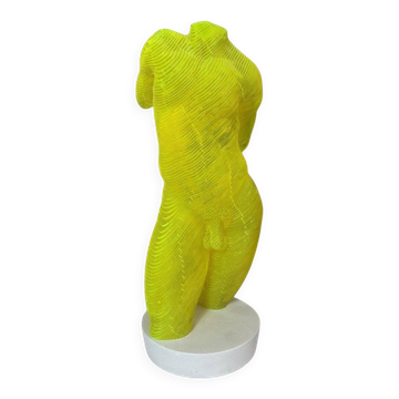 Buste Homme acrylique Olivier Duhamel