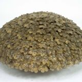 Seguso, XLarge Mid-century Gold Murano glass flowers ceiling lamp. Italy 19