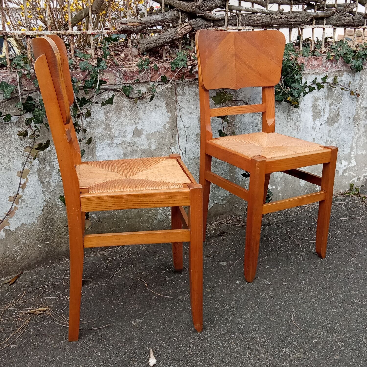 Paire de chaises paillées années 50