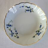 10 Bernardaud Limoges porcelain forget-me-not fruit dessert bowls