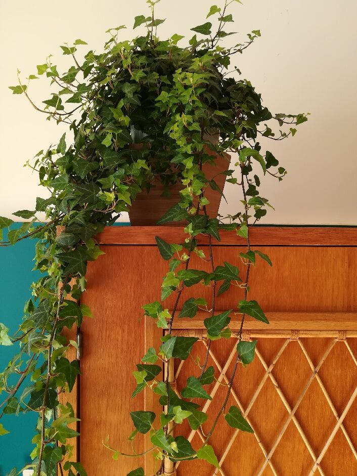 Vintage secretary furniture with rattan