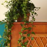 Vintage secretary furniture with rattan