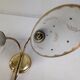 Tulip wall lamp 50s, Vintage, glass and brass