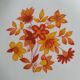 6 flower power plates from the 70s