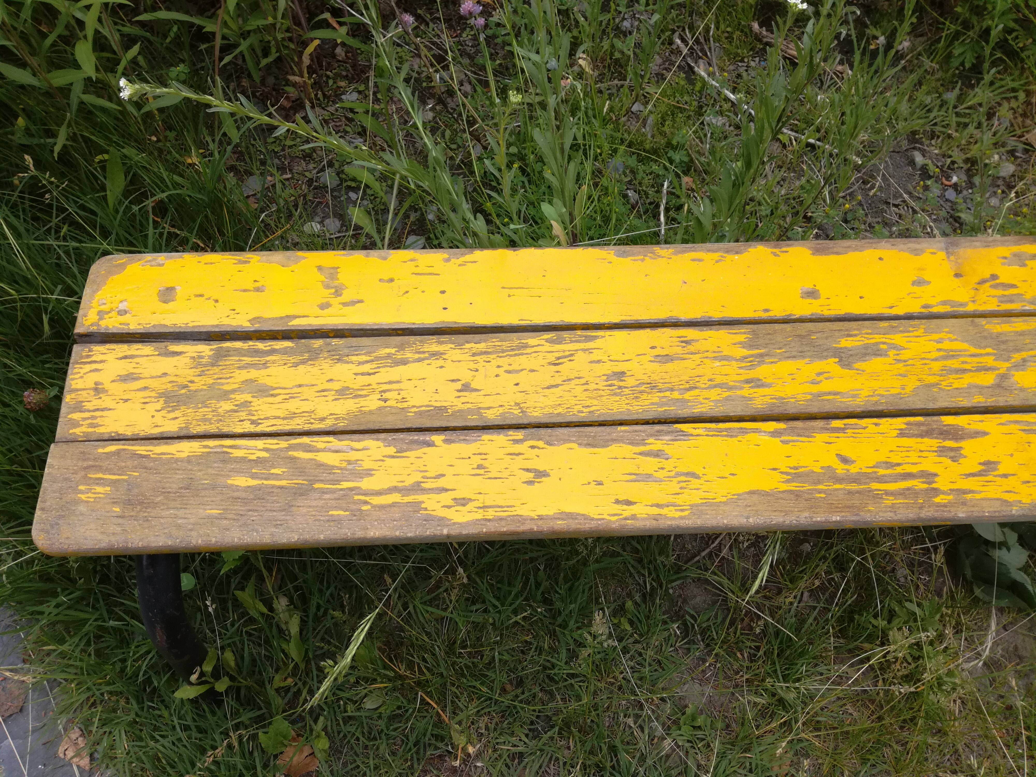 Bench of schoolchildren