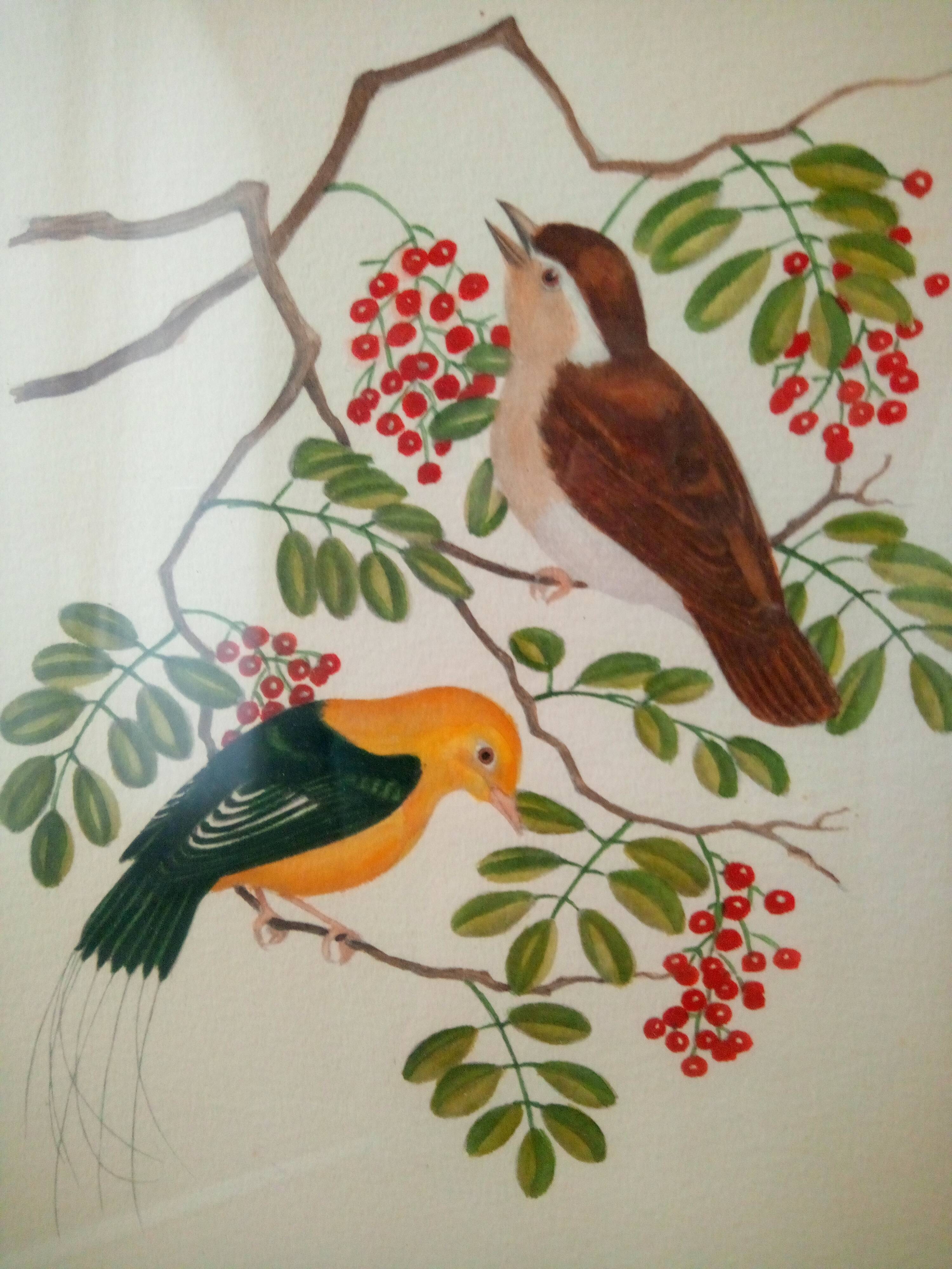 Framed Bird Lithograph