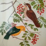 Lithographie d'oiseau encadrée