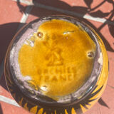 Orchies pot