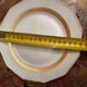 F. Legrand Limoges - Dessert Service 2 Cake/Pie Plates + 11 Plates