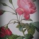 Lithograph frame rose semi double leaning buttons 43