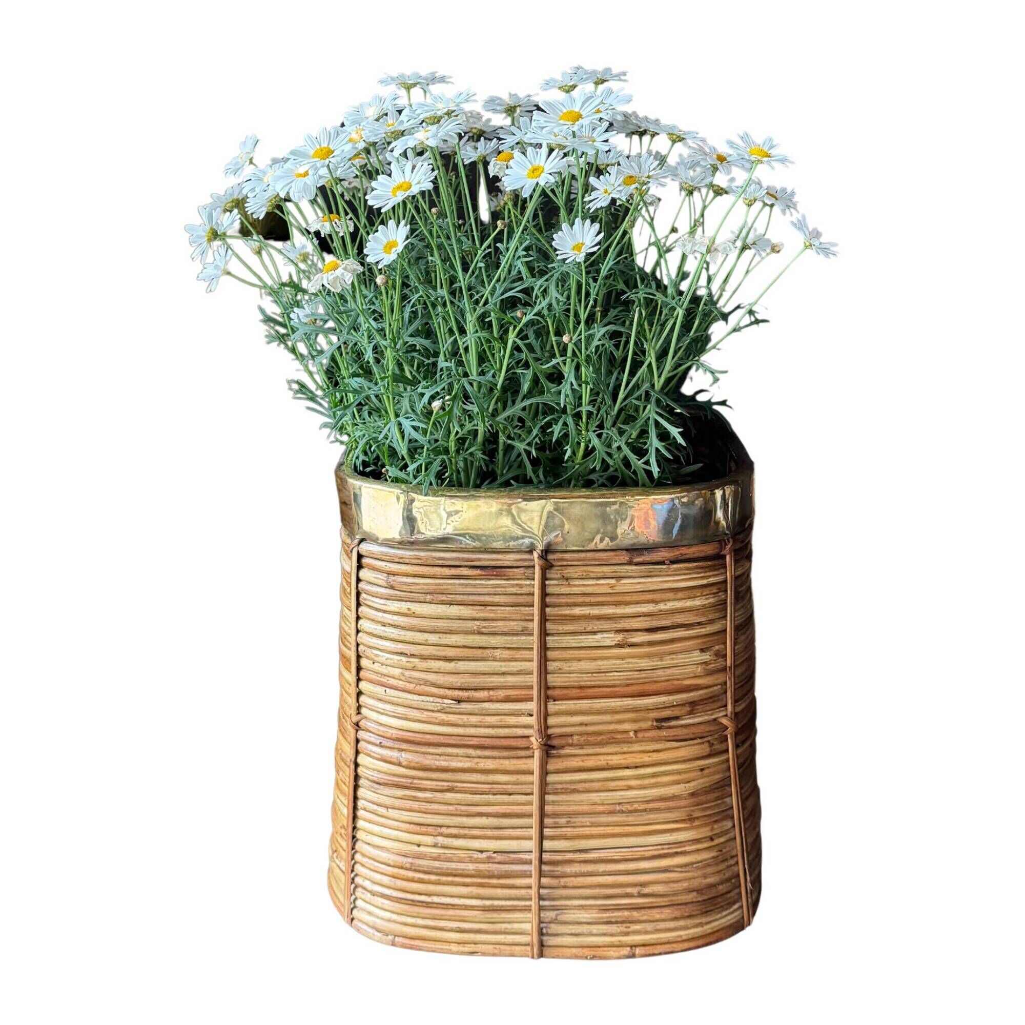 Rattan & Brass Wastepaper Basket | Italy 1970s