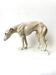 Greyhound by Dorothea Moldenhauer, Rosenthal, 1920