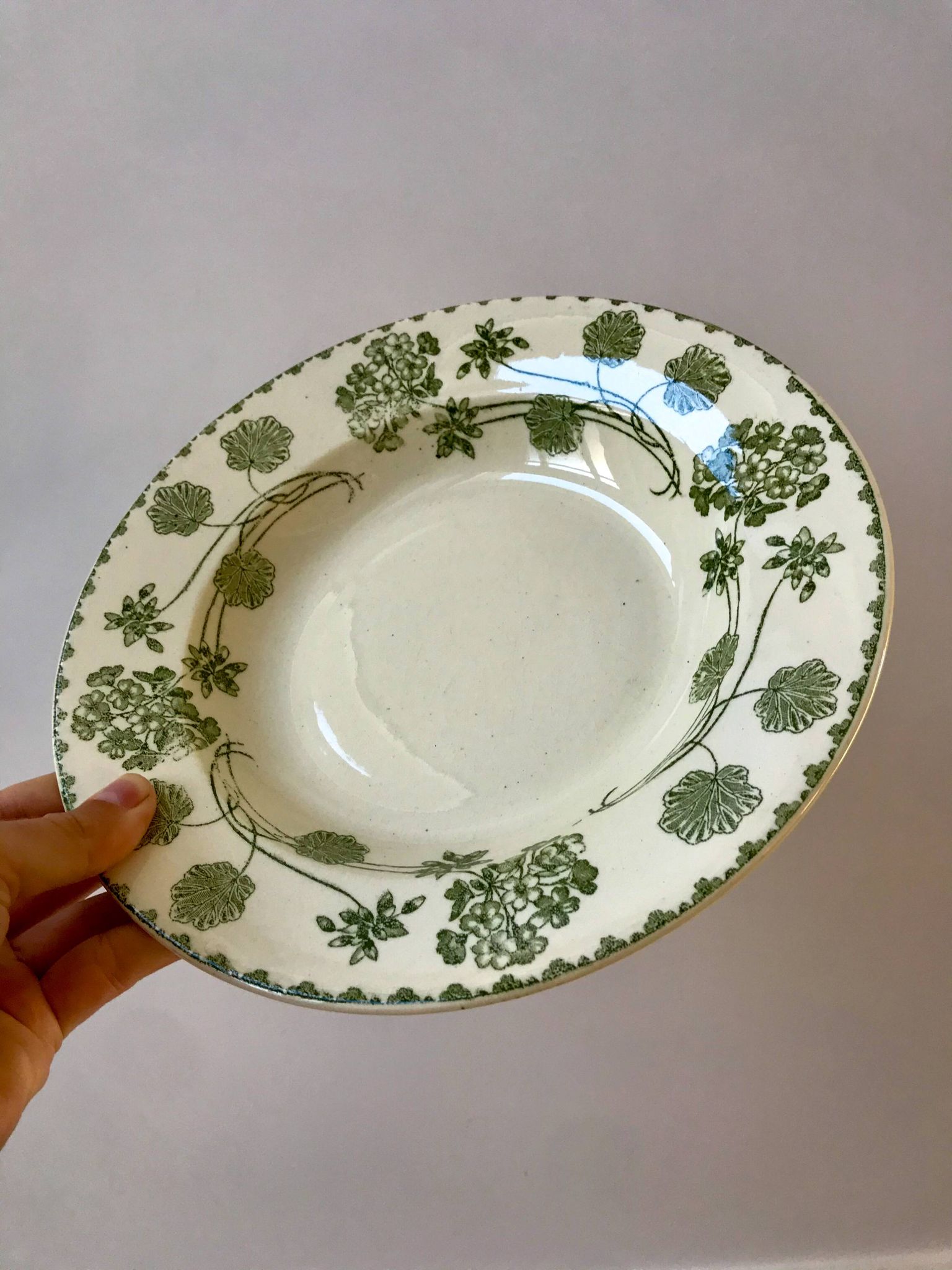 set of 8 hollow plates in Digoin Sarreguemines Iron Earth model "Geranium" green late 19th century