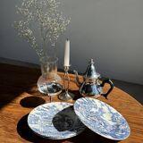 Set of 5 blue English plates D23