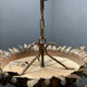 Italian Tole Murano Glass Chandelier 1960’s 