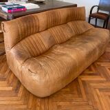 Aralia Sofa by Michel Ducaroy