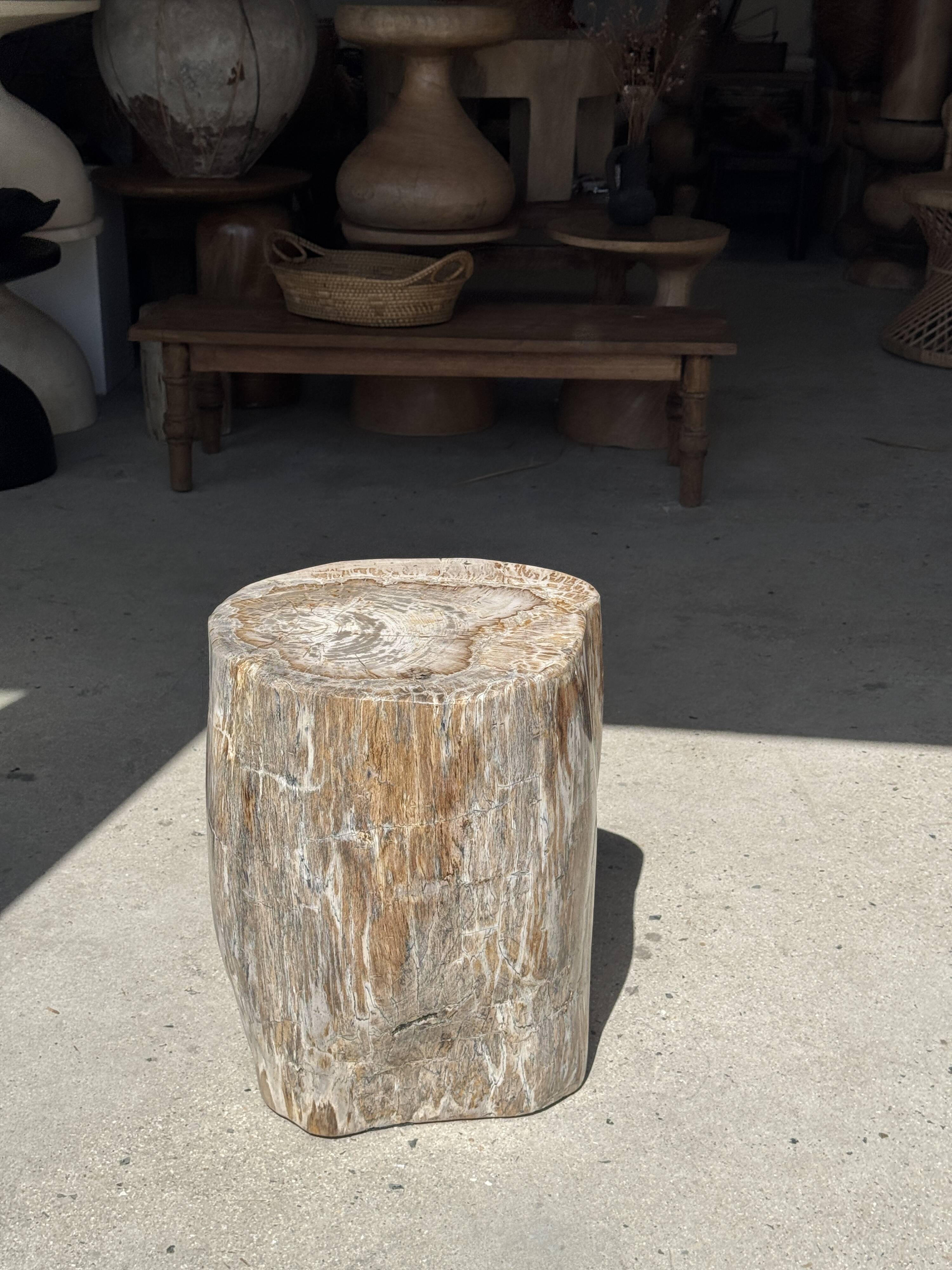 Very large white and grey petrified wood side table H45 D39 - 334
