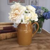 Camel pitcher