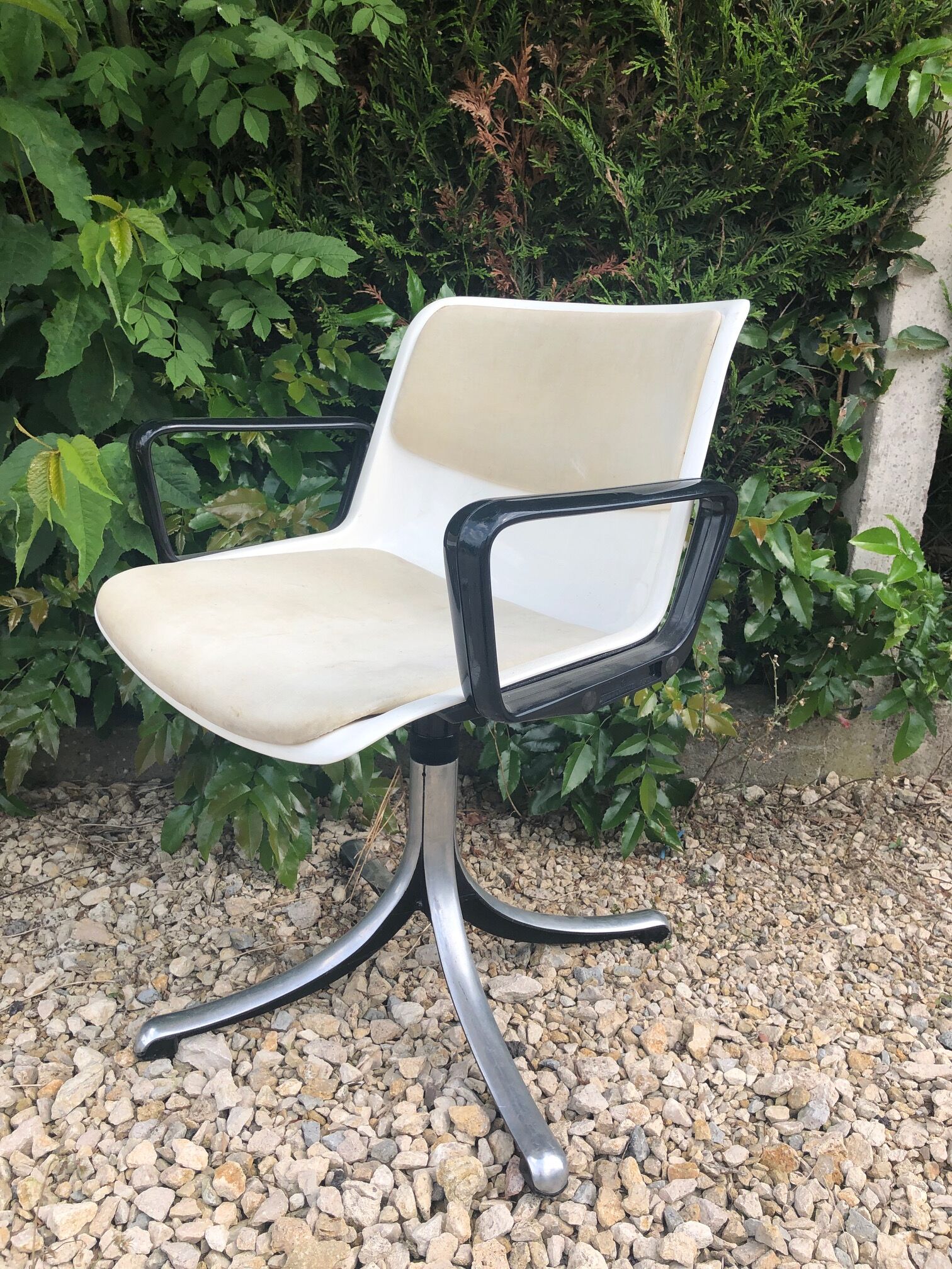 Pair of office chairs Modus Osvaldo Borsani edited by Tecno