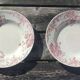 Set of two deep plates Terre de Fer Saint-Amand & Hamage model Campanule