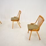 Set of 4 Dining Chairs Designed by Antonín Šuman, 1960s