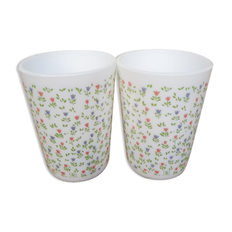 Deux verres en opaline motif floral