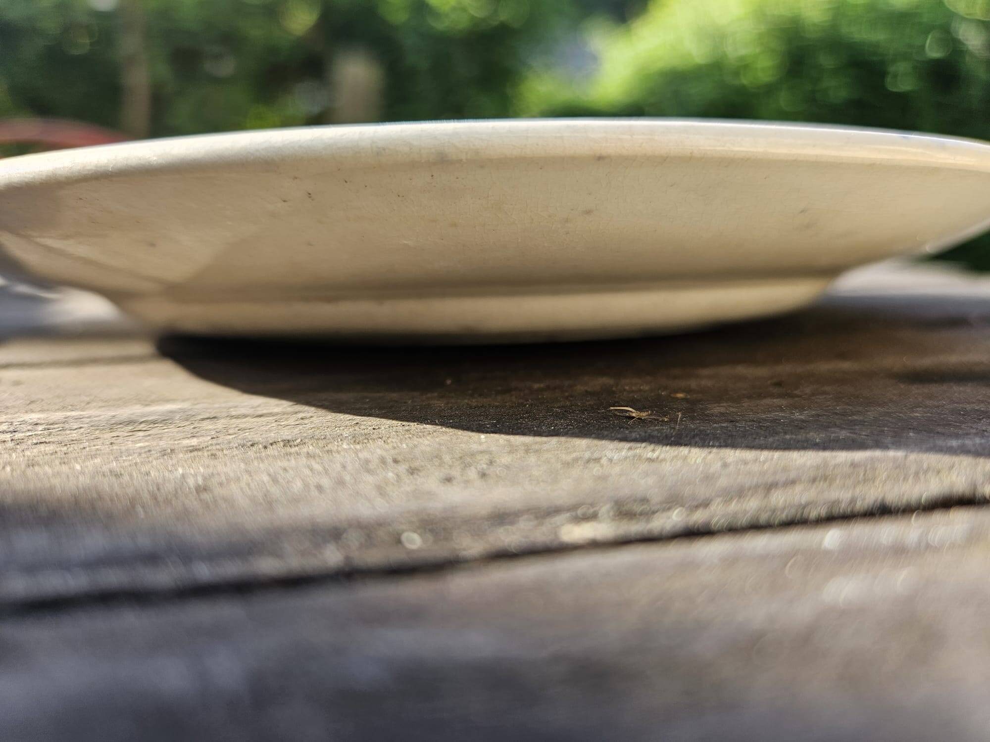 Antique 19th century plate, Terre de Fuego, blue with bird motif