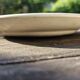 Antique 19th century plate, Terre de Fuego, blue with bird motif