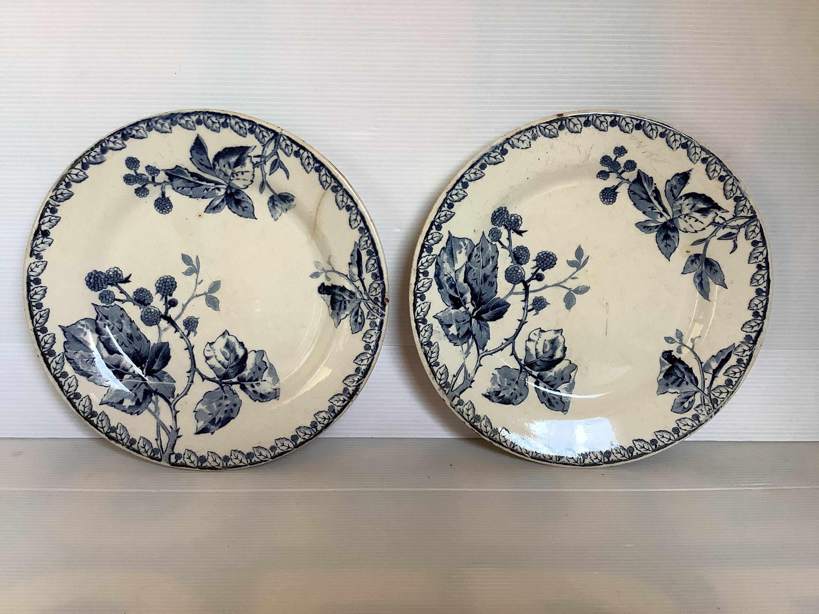 Pair of old mature ironstone plates