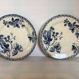 Pair of old mature ironstone plates