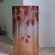 Legras quadrilobed vase from the "ruby" series in glass (1900 - 1910)
