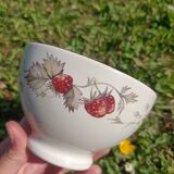 Strawberry bowl