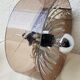 Plexiglas and flower metal wall lamp 70