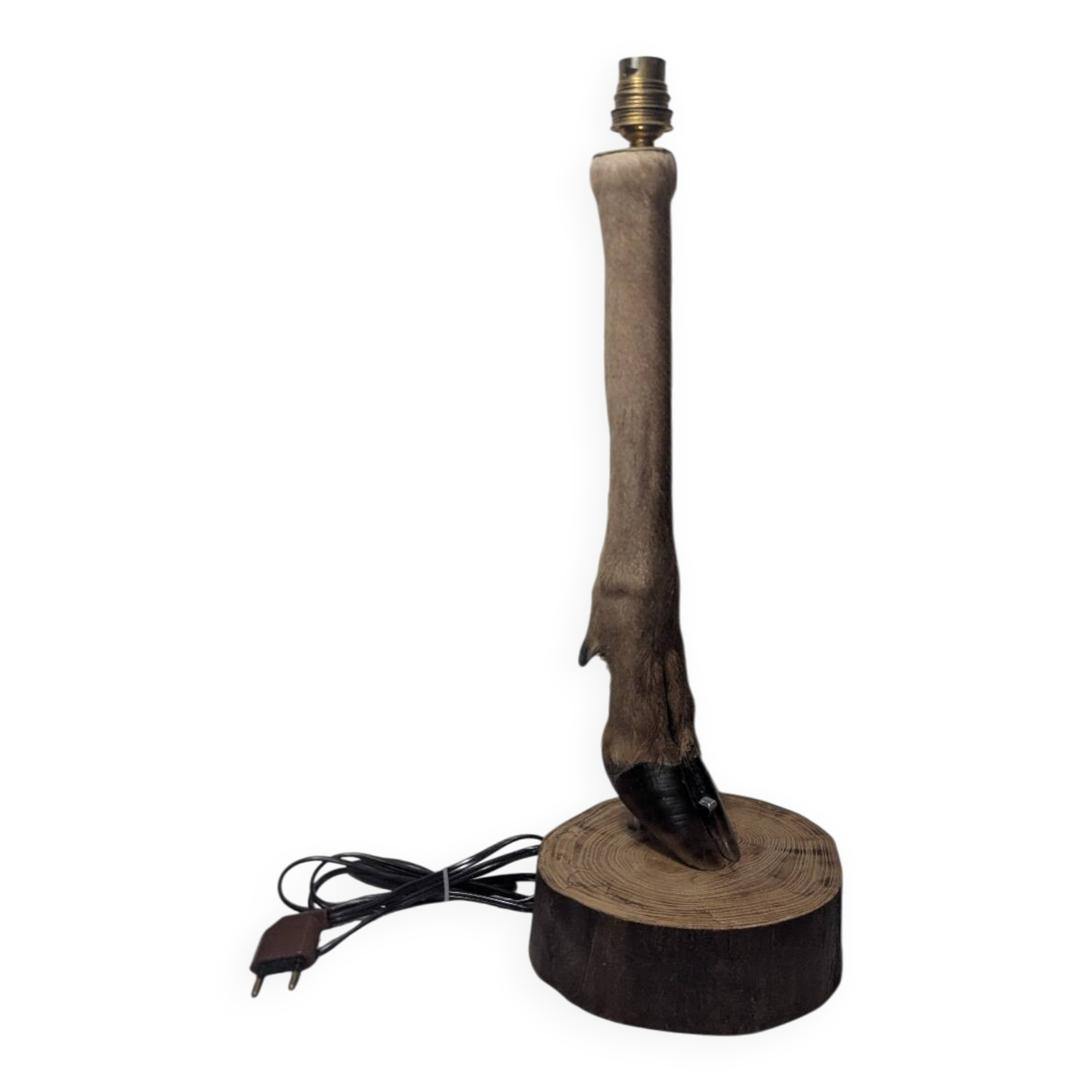 Hunting Lamp Base, Doe/Stag, Cabinet of Curiosities