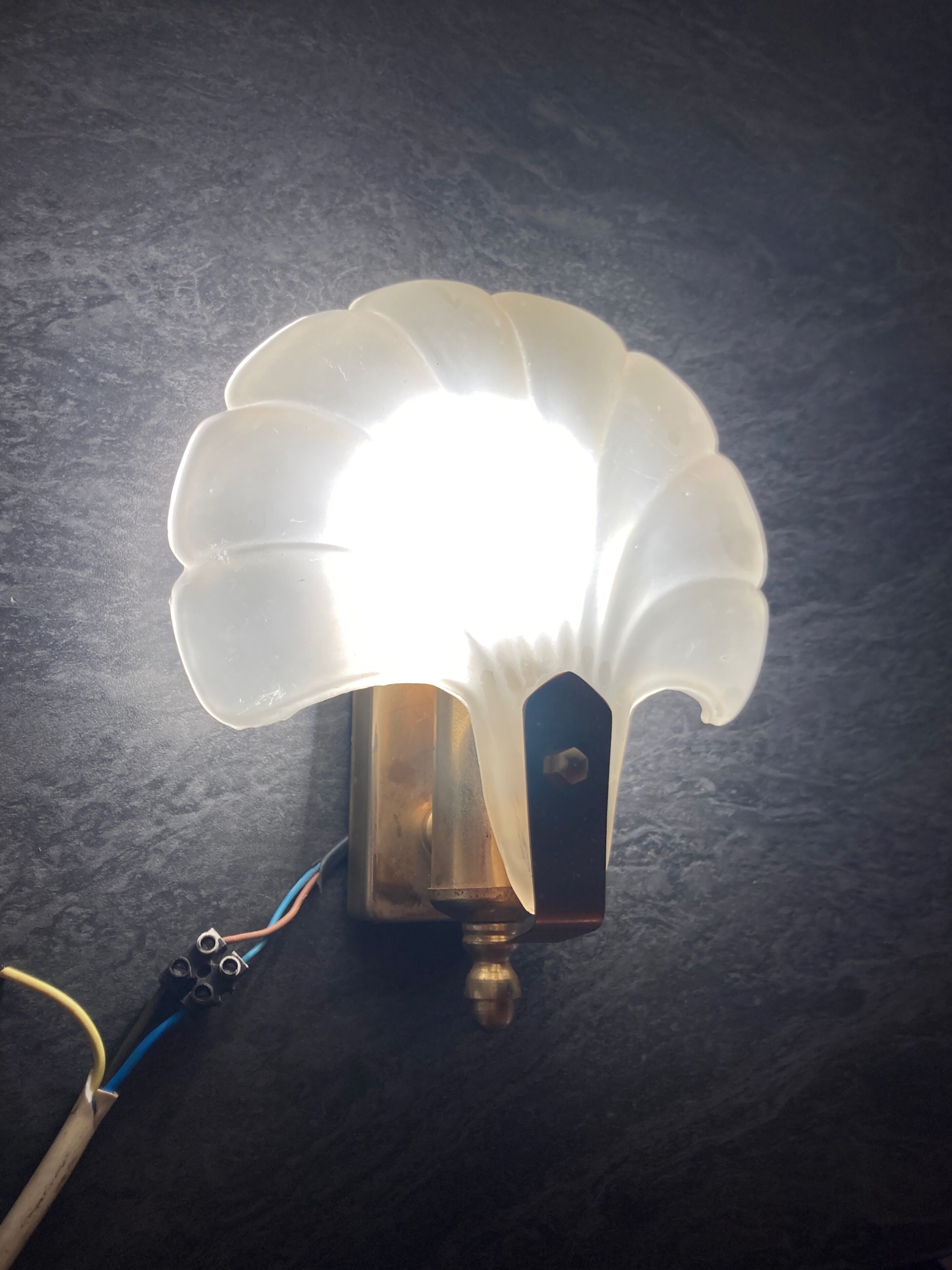 Frosted glass shell wall lamps