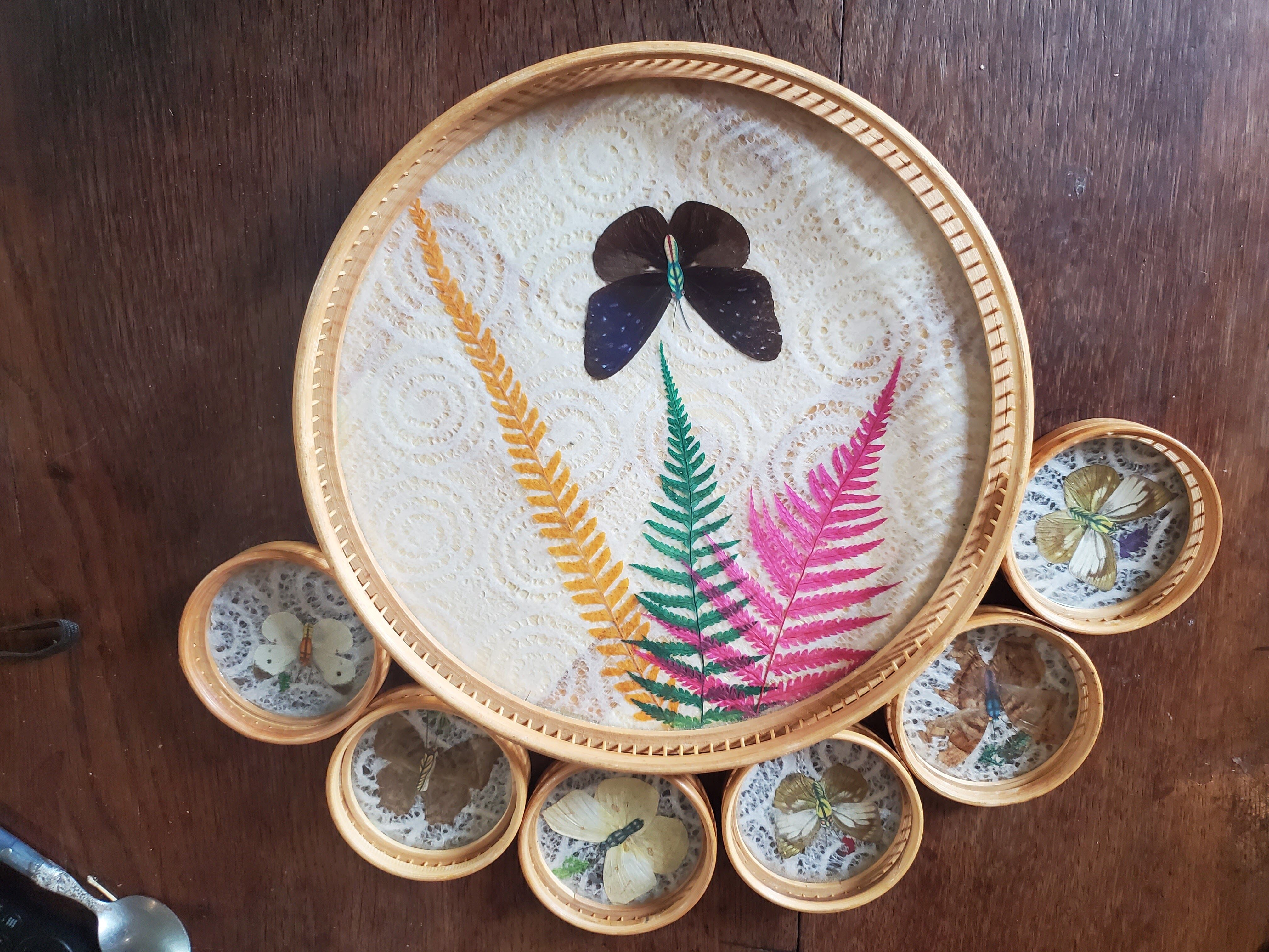Butterfly tray