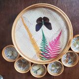 Butterfly tray