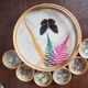 Butterfly tray