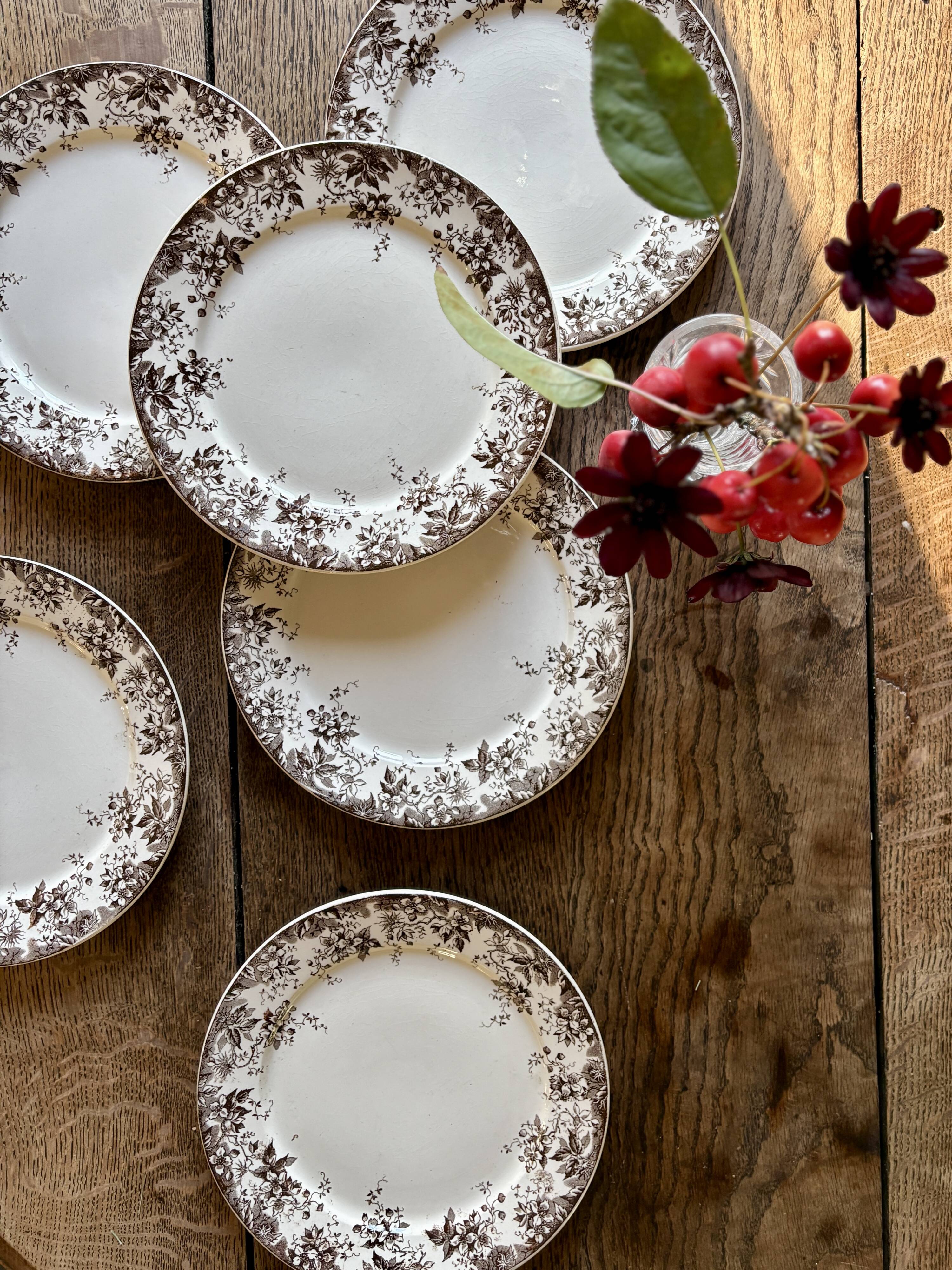 Lot de 6 assiettes à dessert anciennes en terre de fer modèle Alphand de Sa