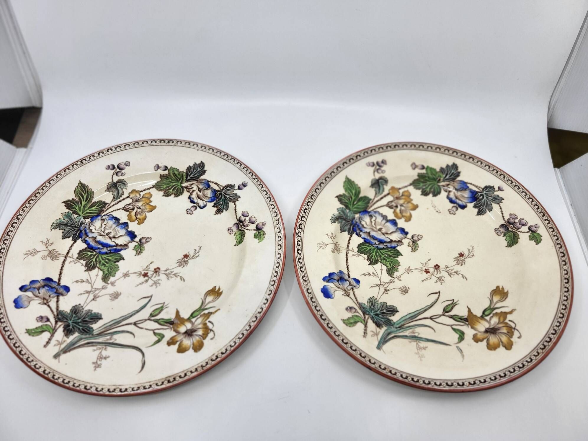 Victorian plate set by Brownfield & Sons model "Texas" England 1880