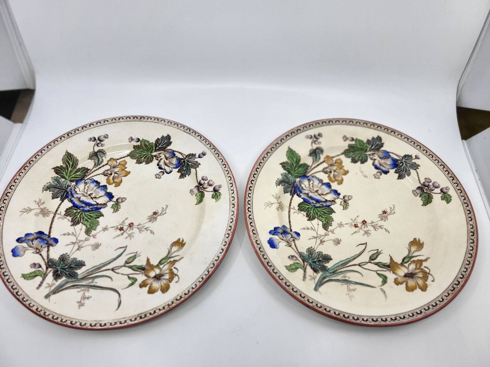 Victorian plate set by Brownfield & Sons model "Texas" England 1880