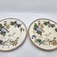 Victorian plate set by Brownfield & Sons model "Texas" England 1880