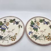 Victorian plate set by Brownfield & Sons model "Texas" England 1880