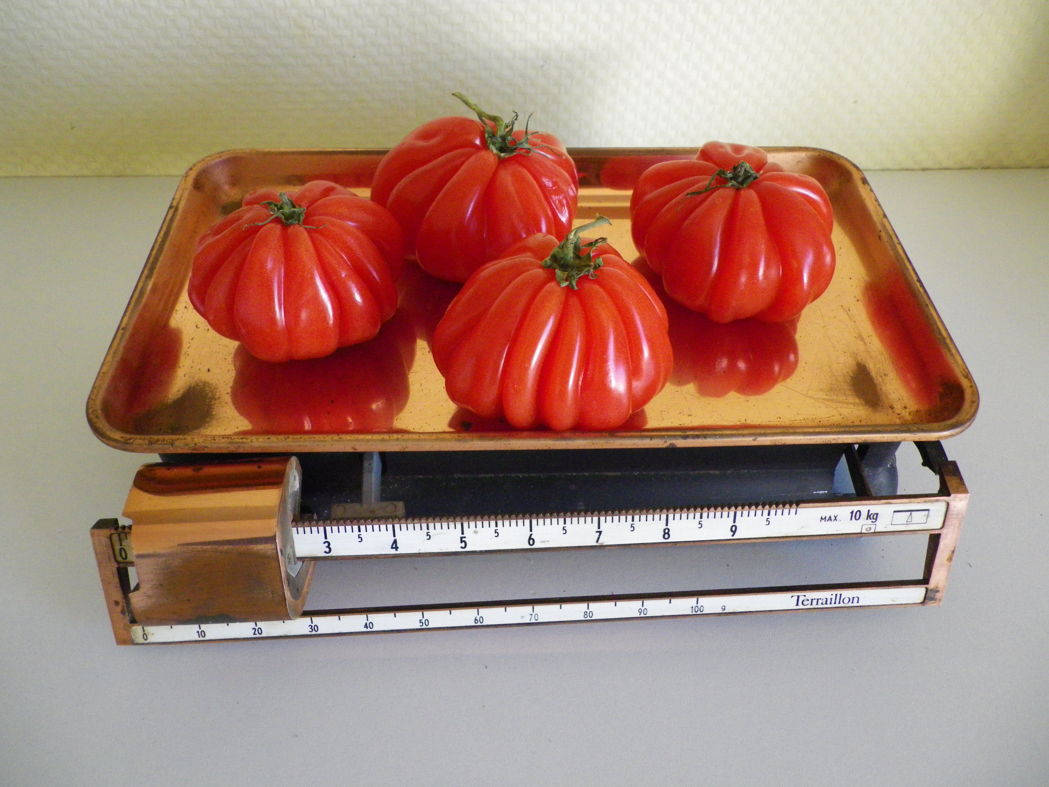Teraillon brand vintage metal and copper metal scale 50s