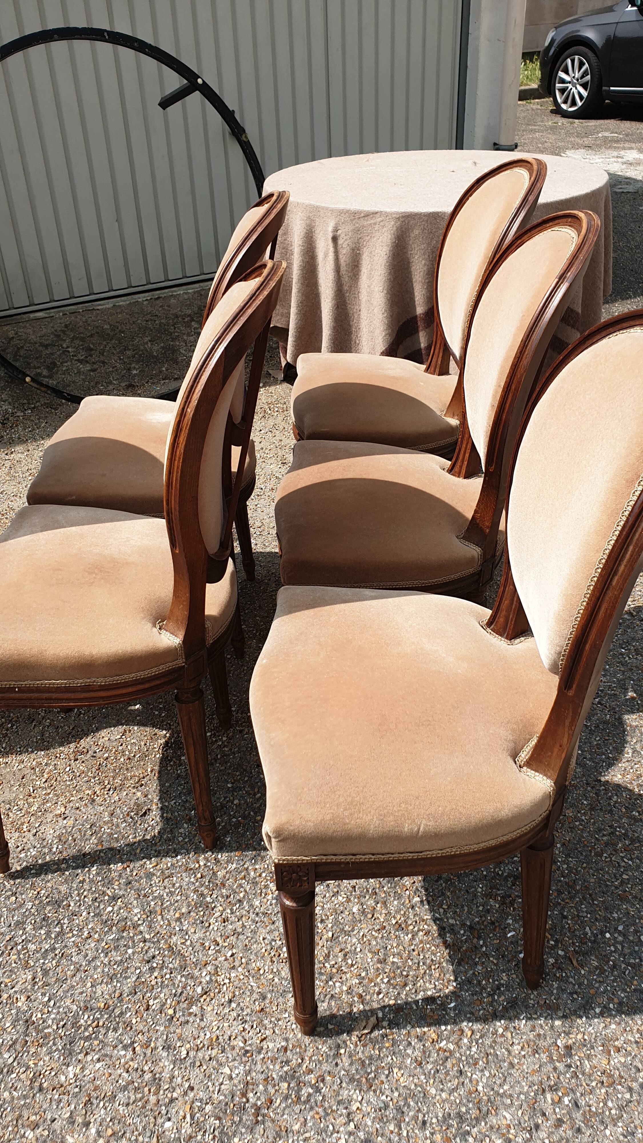 6 Louis XVI medallion chairs