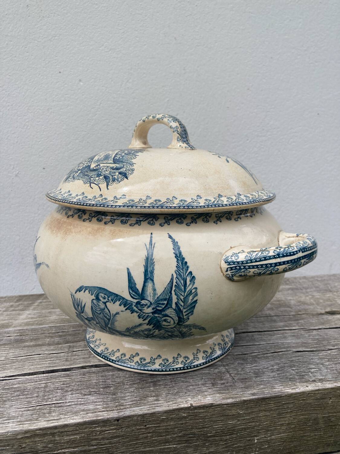 Earthenware tureen tureen Pexonne birds