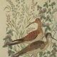 Tableau vintage aquarelle canards de terronblan monbaly dayelle