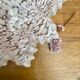 Vintage lampshade suspension in pale pink clichy glass