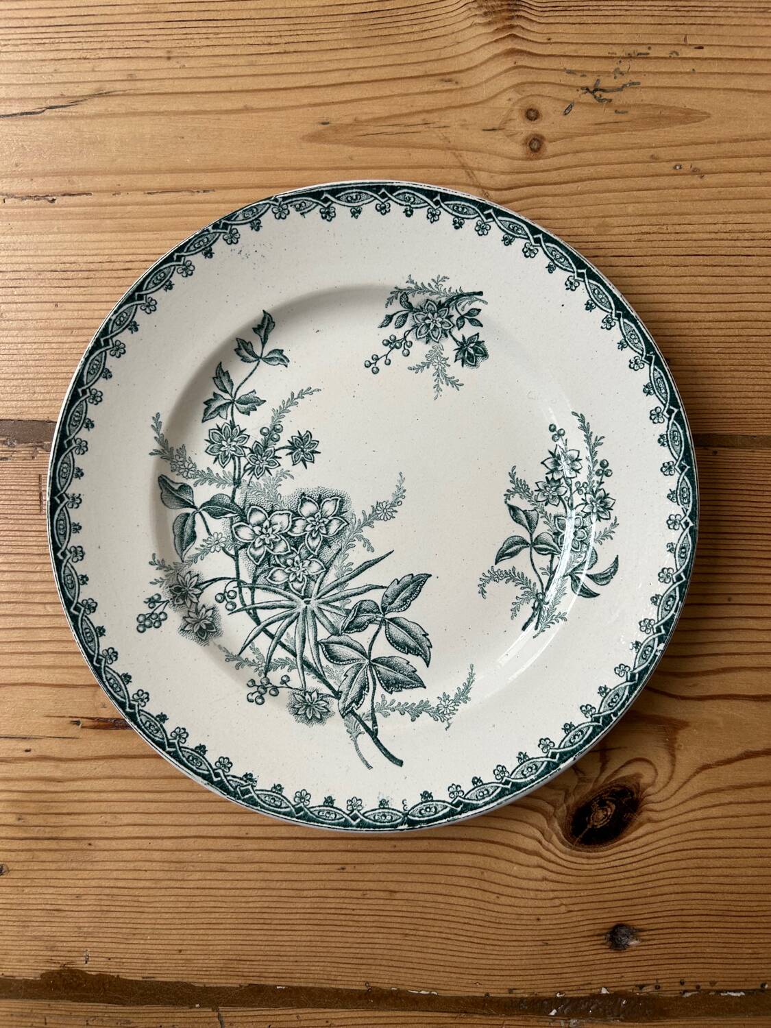 Set of 6 mismatched antique dinner plates