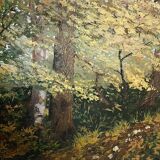 Painting Path in the undergrowth